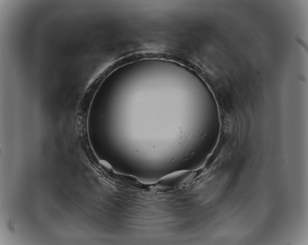 X0000097901208200803141347
