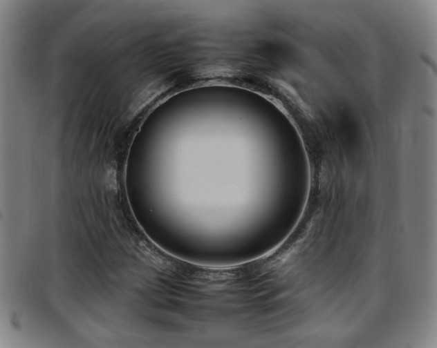 X0000097901209200803141347