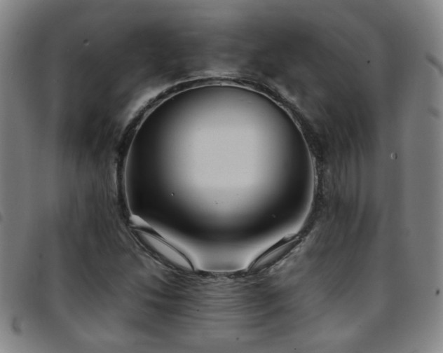 X0000097901214200803141347