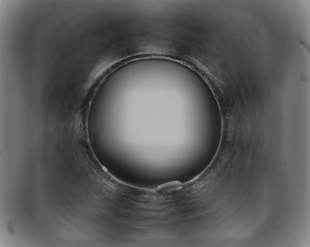 X0000097901215200803141347