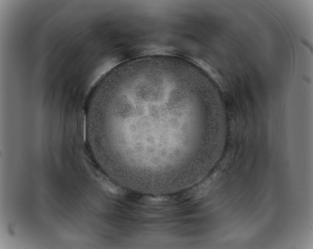 X0000097901219200803141347
