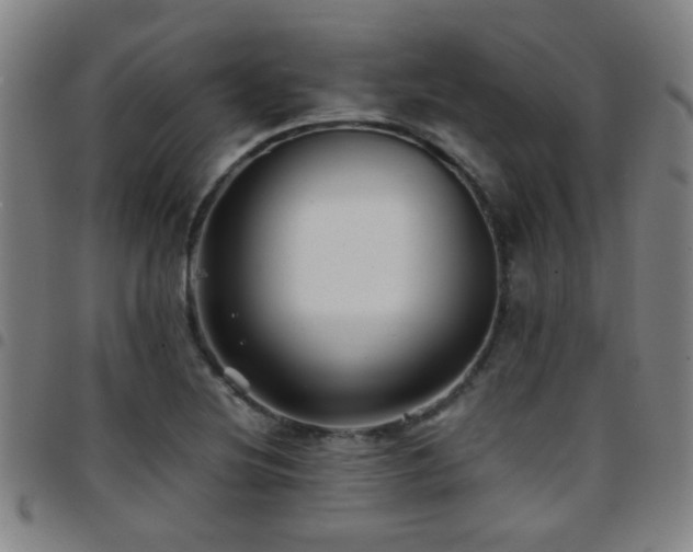 X0000097901220200803141347