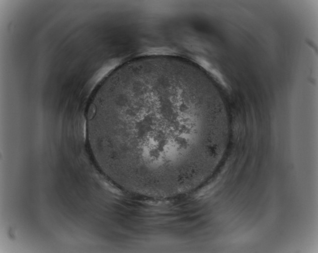 X0000097901221200803141347
