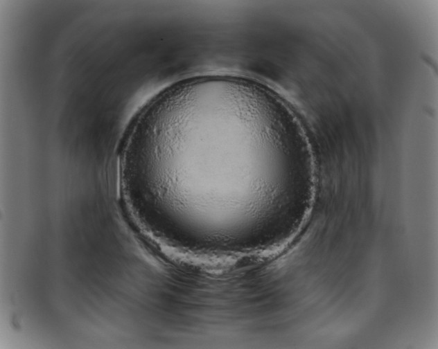X0000097901223200803141347