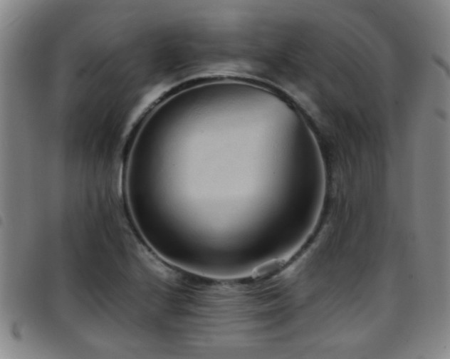 X0000097901224200803141347