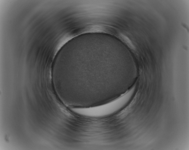 X0000097901226200803141347