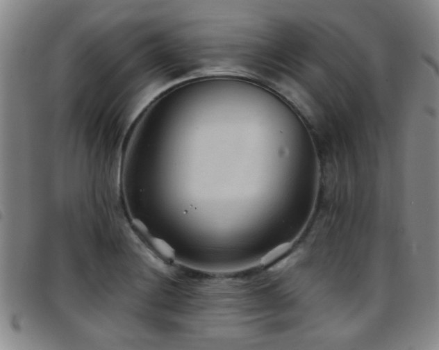 X0000097901228200803141347