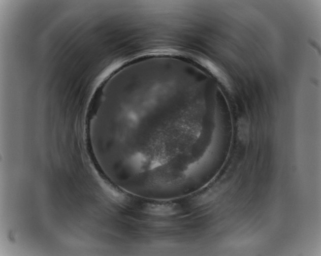 X0000097901229200803141347