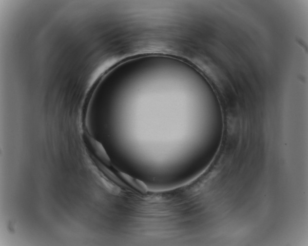 X0000097901230200803141347