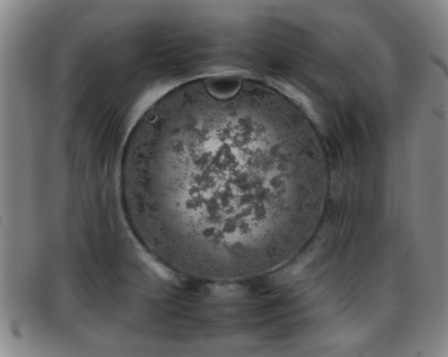 X0000097901231200803141347