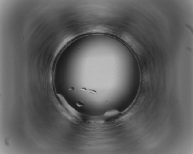 X0000097901232200803141348