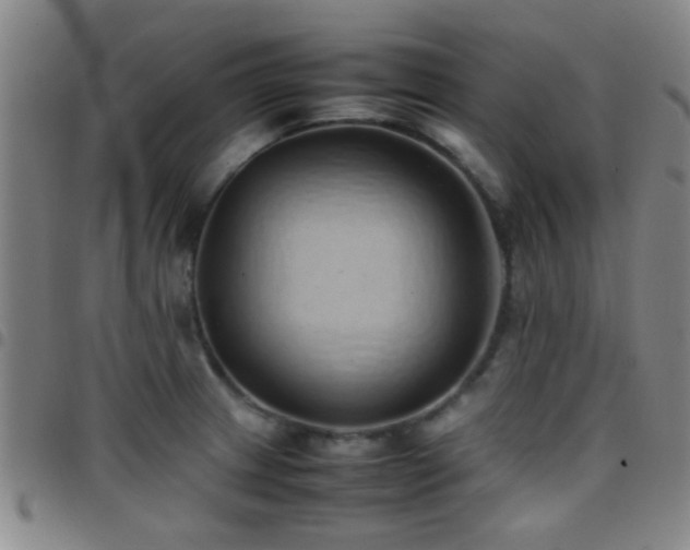 X0000097901233200803141348