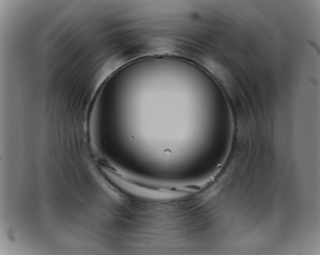 X0000097901234200803141348