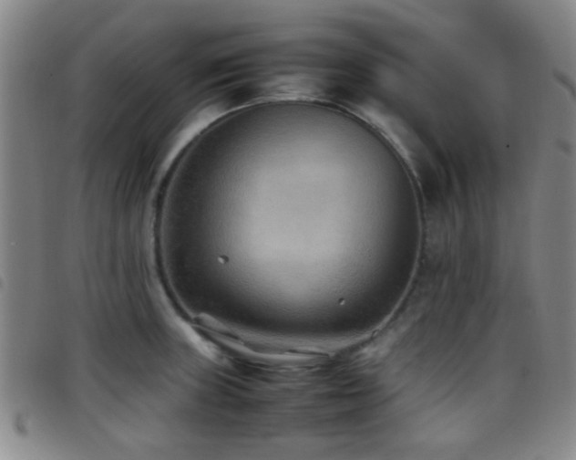 X0000097901235200803141348