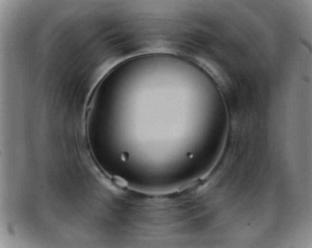 X0000097901236200803141348