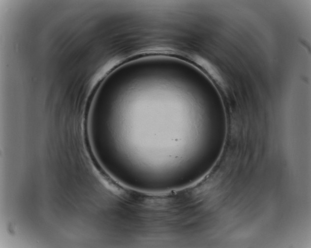 X0000097901237200803141348