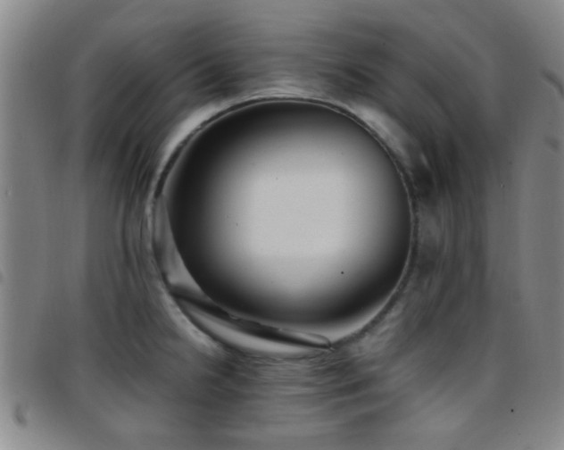 X0000097901238200803141348