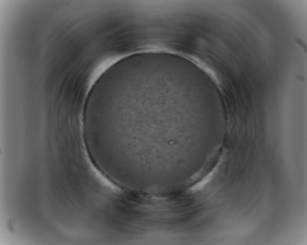 X0000097901239200803141348