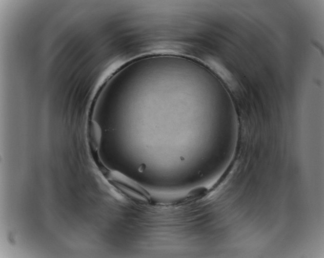 X0000097901240200803141348