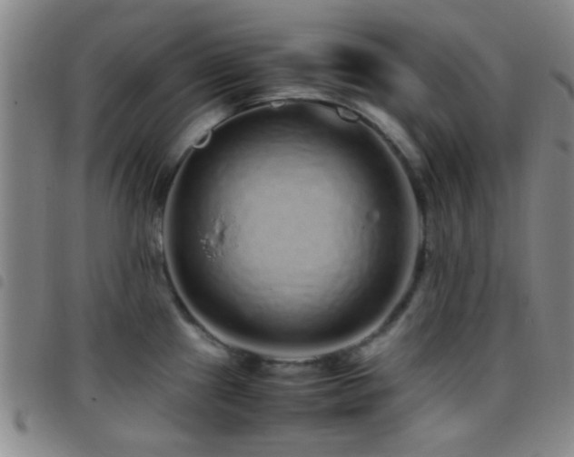 X0000097901241200803141348