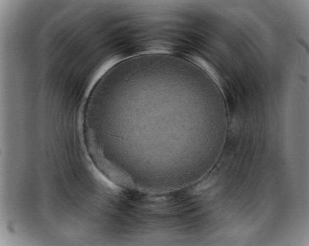 X0000097901243200803141348