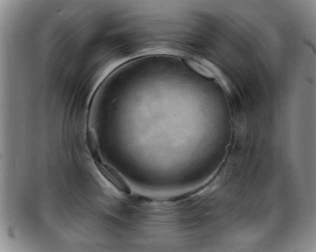 X0000097901244200803141348