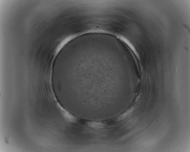 X0000097901245200803141348