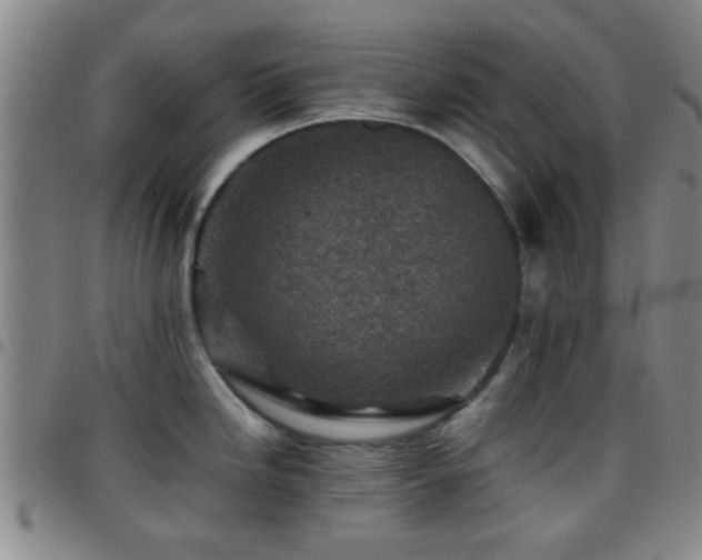 X0000097901246200803141348