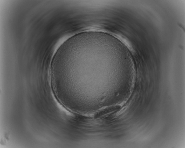 X0000097901247200803141348