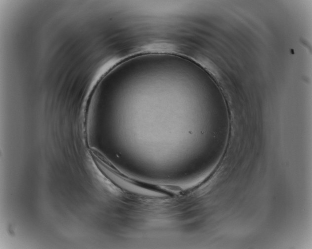 X0000097901248200803141348