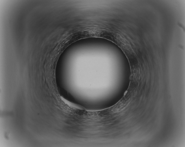 X0000097901249200803141347