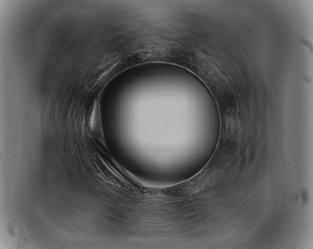 X0000097901250200803141347