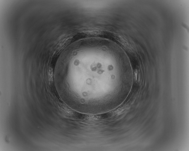 X0000097901251200803141347