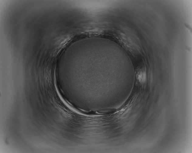 X0000097901252200803141347