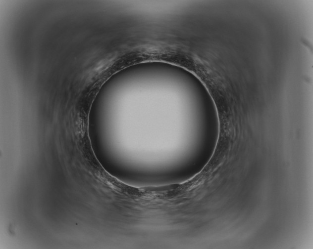 X0000097901253200803141347