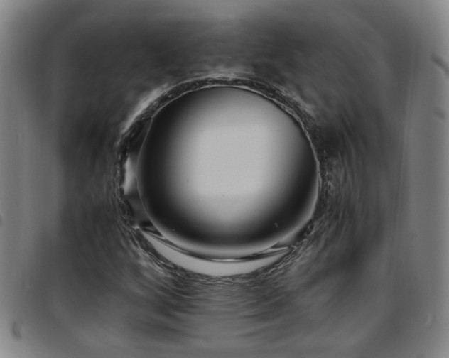 X0000097901256200803141347