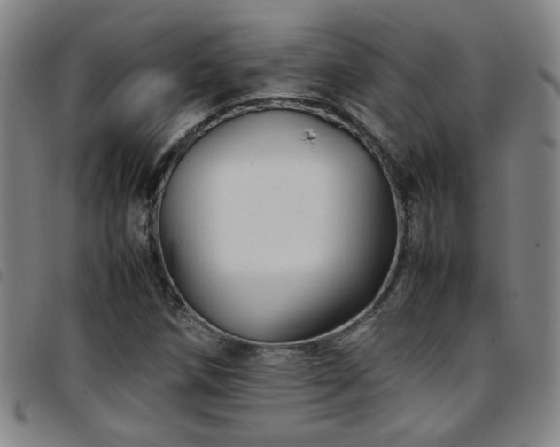 X0000097901258200803141347