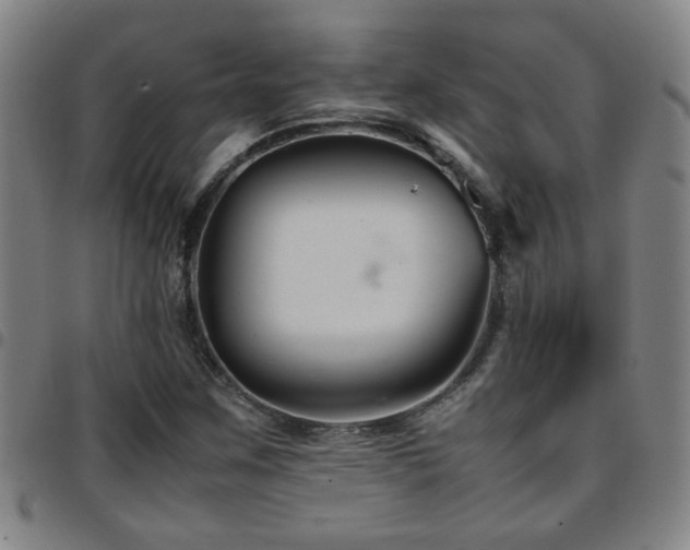 X0000097901259200803141347