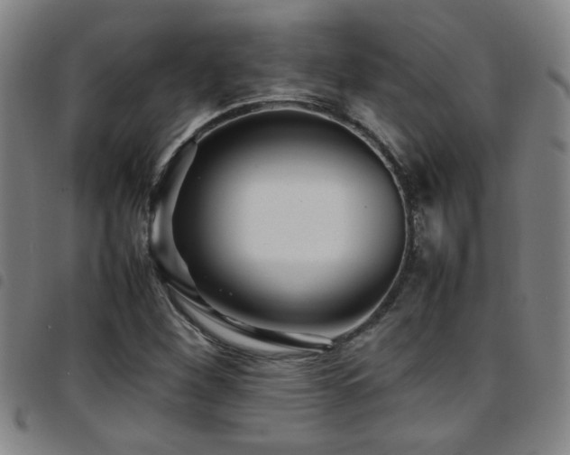 X0000097901260200803141347