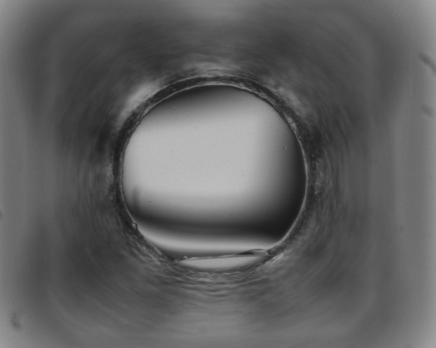 X0000097901261200803141347