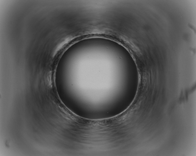 X0000097901262200803141347