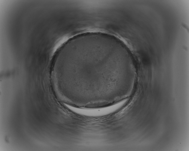 X0000097901263200803141347