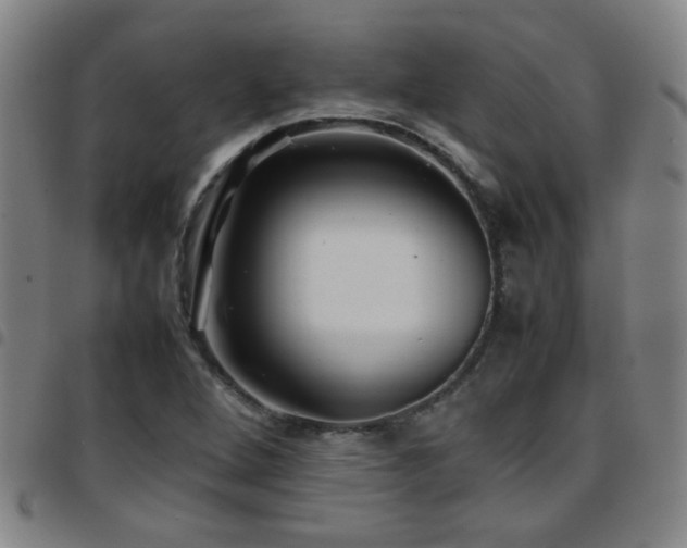 X0000097901264200803141347
