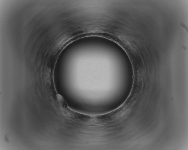X0000097901265200803141347