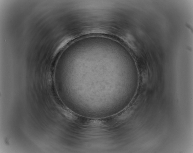 X0000097901266200803141347