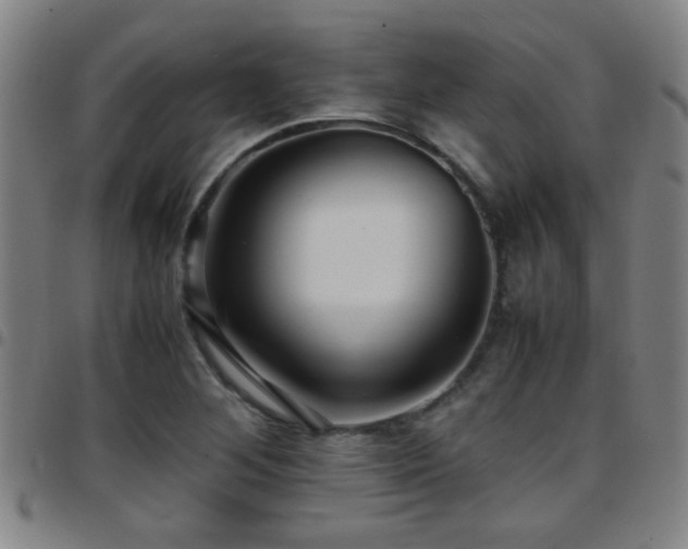 X0000097901268200803141347