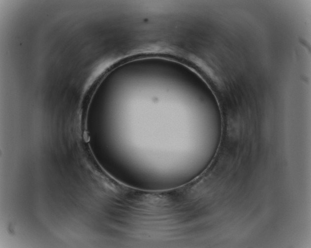 X0000097901270200803141347