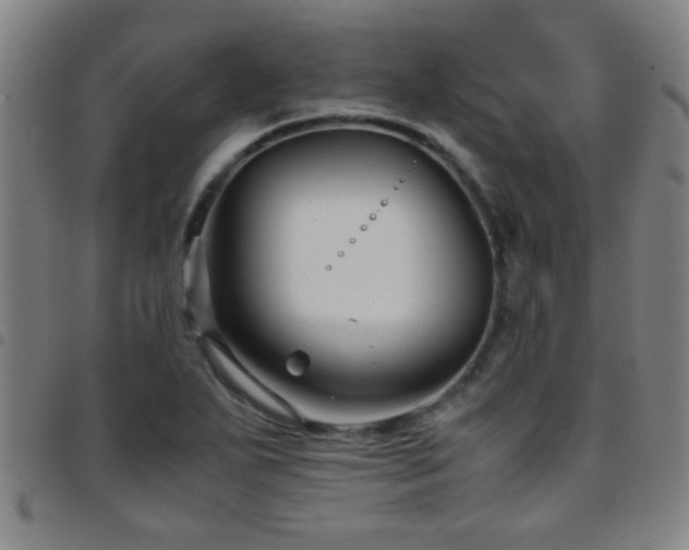 X0000097901271200803141347