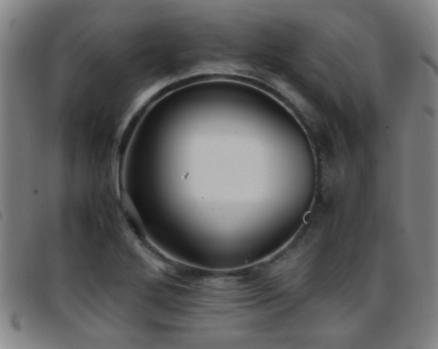 X0000097901272200803141347