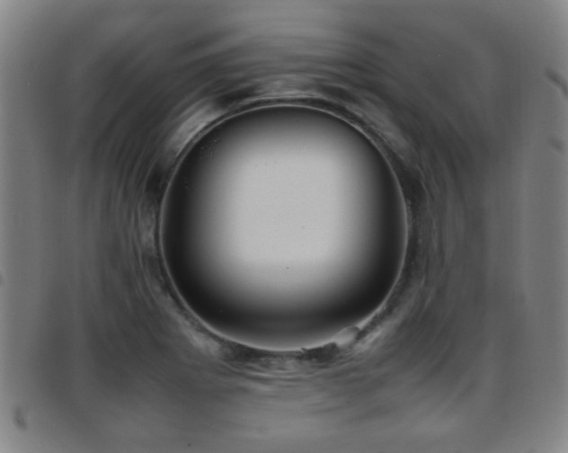 X0000097901273200803141347